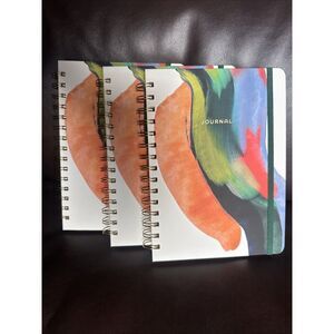 Journal (3pk) Hard Cover By Threshold 240 Page Ruled Journal Abstract Watercolor